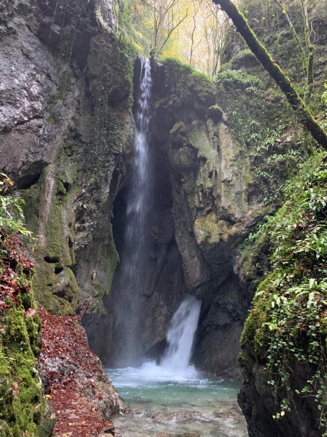 Seia Mountain Wellness *